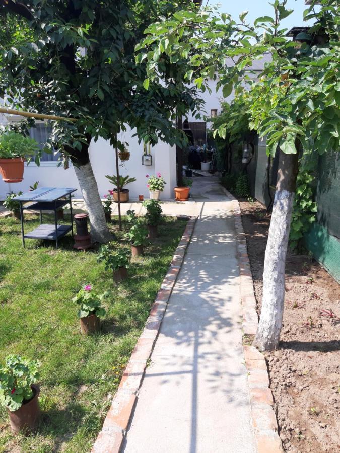House Hotell Craiova Eksteriør bilde